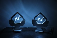 X2 coppia di Pumi Salentini