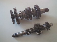 Fantic koala motore fm - (motore,
