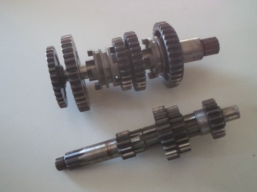 Fantic koala motore - fantic, 50