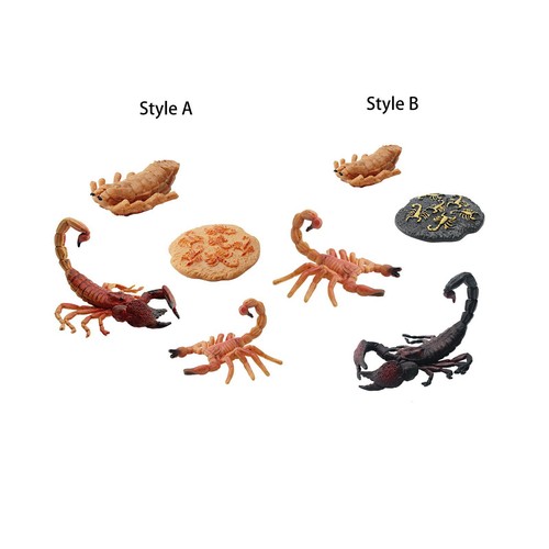 Set ciclo vita degli - di,