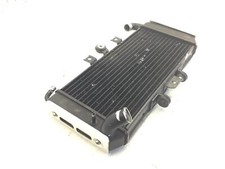 RADIATORE ACQUA LIQUIDO RAFFREDDAMENTO MOTORE YAMAHA FZS FAZER 600 1998 1999