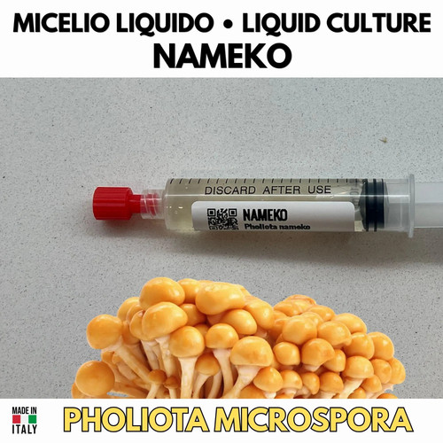 Kit funghi gourmet nameko - kit,