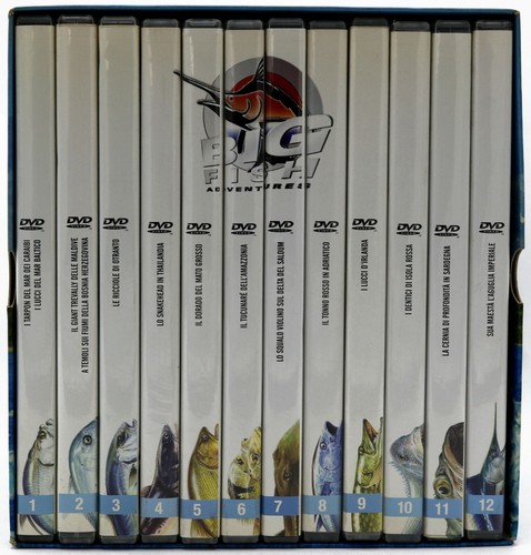 Ebond big fish adventures - ebond,