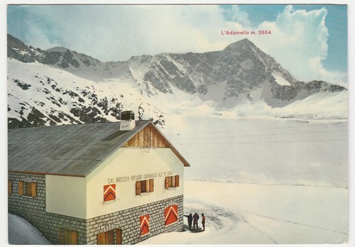 Parete nord dell - dell'adamello,