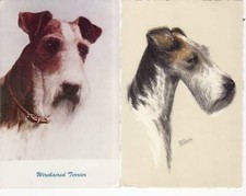 B-010 2 Wire Haired Fox