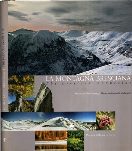 Montagna bresciana motta - bresciana,
