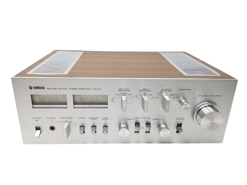 Amplificatore integrato suono