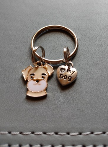 Adorable cute little dog - cute,