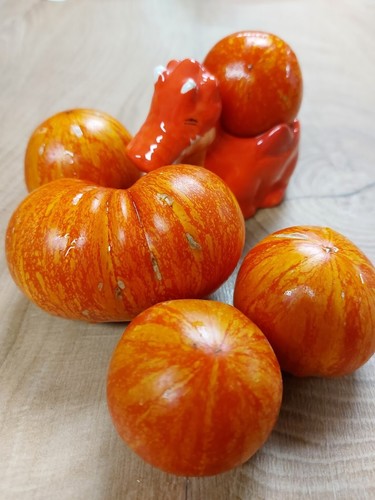 Pomodoro bastoncino solido - pomodoro,