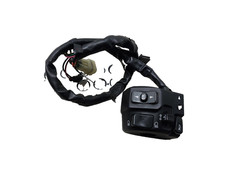 KAWASAKI Z900 2020 COMANDO