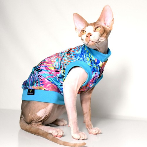 Maglia estiva 2021 sphynx - 2021,
