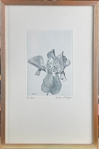 Incisione moderna con fiore - incisione,