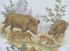 ⚔ Ciotola da parete Meissen