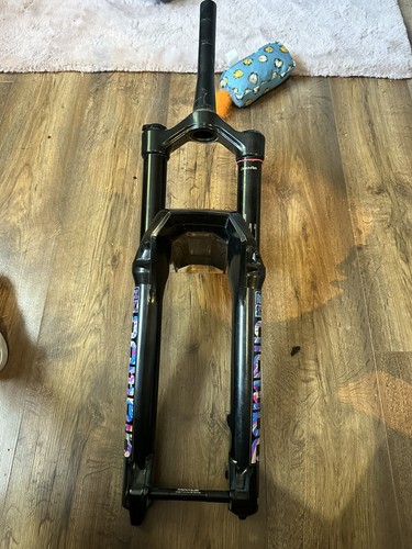 Rockshox domain 160 - domain,