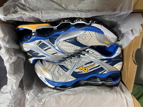 Mizuno wave prophecy - mizuno,