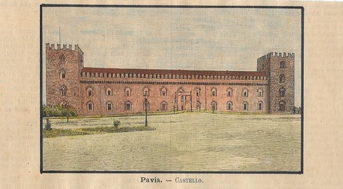 Stampa antica pavia - stampa, veduta