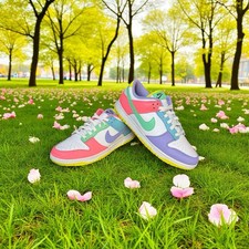 Taglia 11 - Nike Dunk SE Low