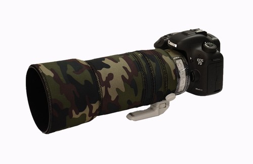 Canon 100 400 6l - 100, f4.5