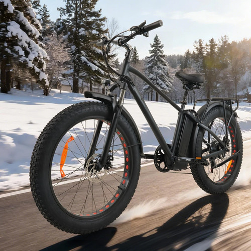 Bici elettriche pollici - da,