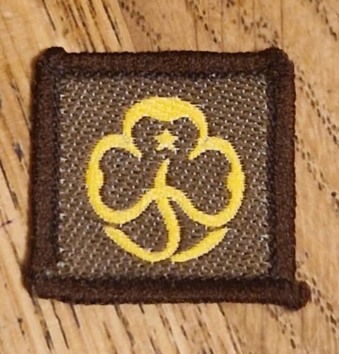 Girlguiding old brownie - girlguiding,