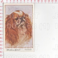 I7468 ANIMALE CANE 1930 CELESQUE SERIES ILLUSTRATORE VERNON STOKES PHOTOCHROM