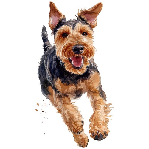 Adesivi airedale terrier - adesivi,