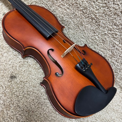 Palatino 300 violin outfit - palatino,