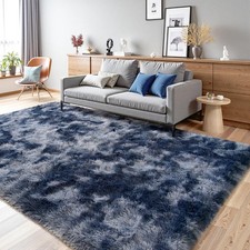 Fluffy Area Rug for Living