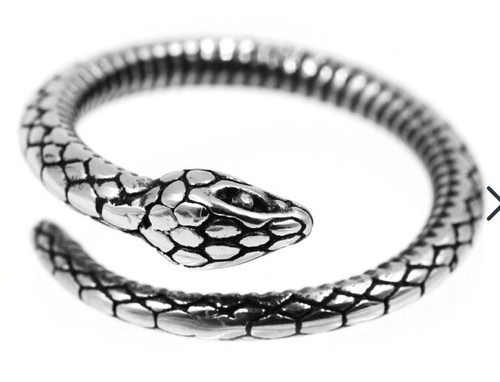 Anello serpente acciaio - anello,