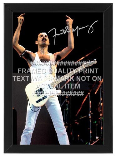 Freddie mercury signed - freddie,