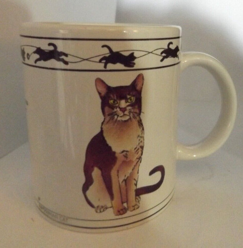 Tabby sgombro marrone gatto - sgombro,