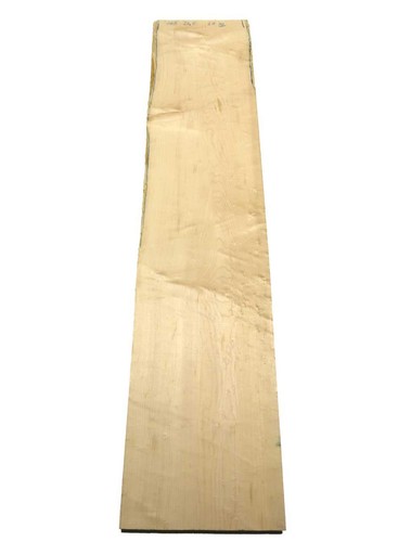 Acero occhi uccello - 1x, di