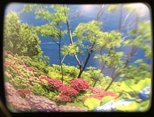 [Near Mint] Voigtlander 15 mm