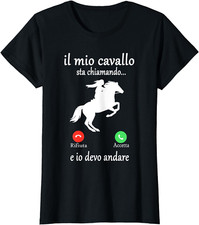 Equitazione Cavalli Ragazza Il