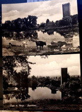 LOTTO NINFA LITTORIA 7