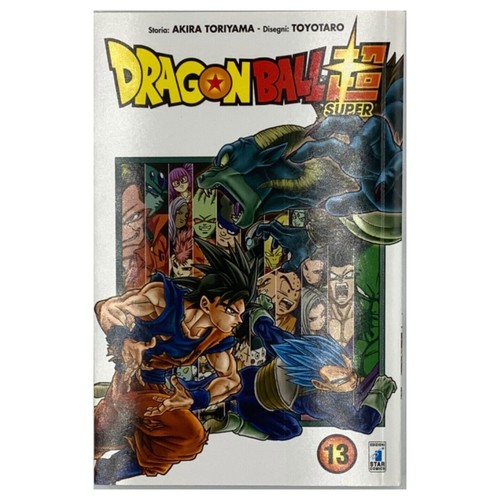 Dragon ball super 13 - dragon,