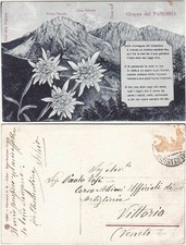 GRUPPO DEL PASUBIO - VICENZA - VIAGG. -27675-