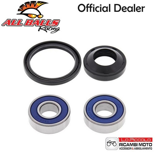 1069 kit cuscinetti - kit,