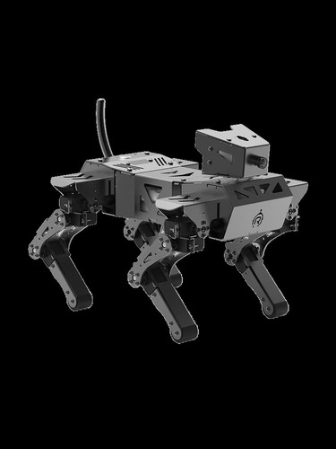 Robot intelligente cane - cane,
