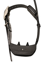 Collare elettrico SportDOG TEK