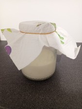 15g  KEFIR DI LATTE Granuli