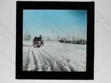 Reindeer sleigh cart - reindeer, snow