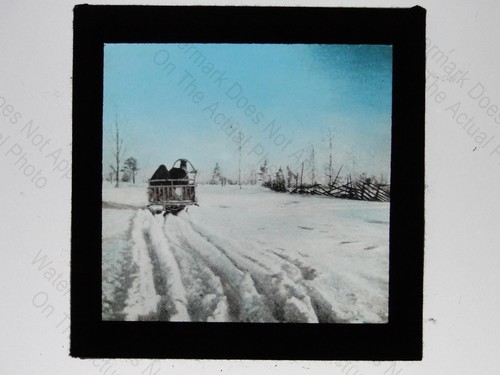 Reindeer sleigh cart - reindeer, snow