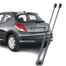 Molle a Gas Pistoncini