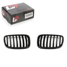 Griglia Anteriore Performance Nera Lucida Per BMW X5 E70 M XDRIVE
