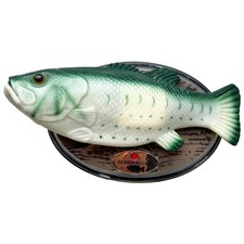 Grande Bocca Cantando Pesce