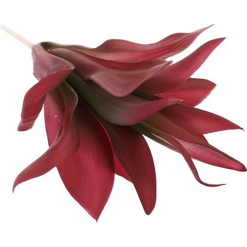 Piante finte succulente grasse - piante,