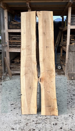 Coppia tavole legno di - di,