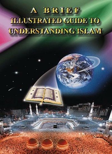 Brief illustrated guide - brief,