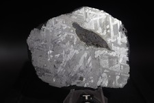 Toluca ferro meteorite inciso